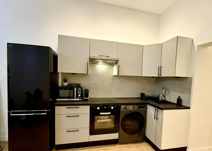 Apartment Magnifique 2 Pieces - Vieux