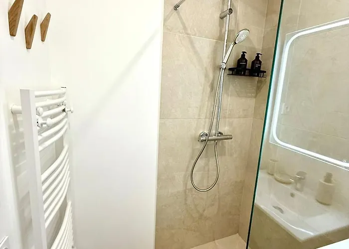 Magnifique 2 Pieces - Vieux Apartment Nizza